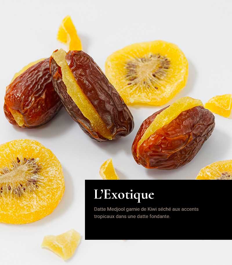 Caroussel-Exotique